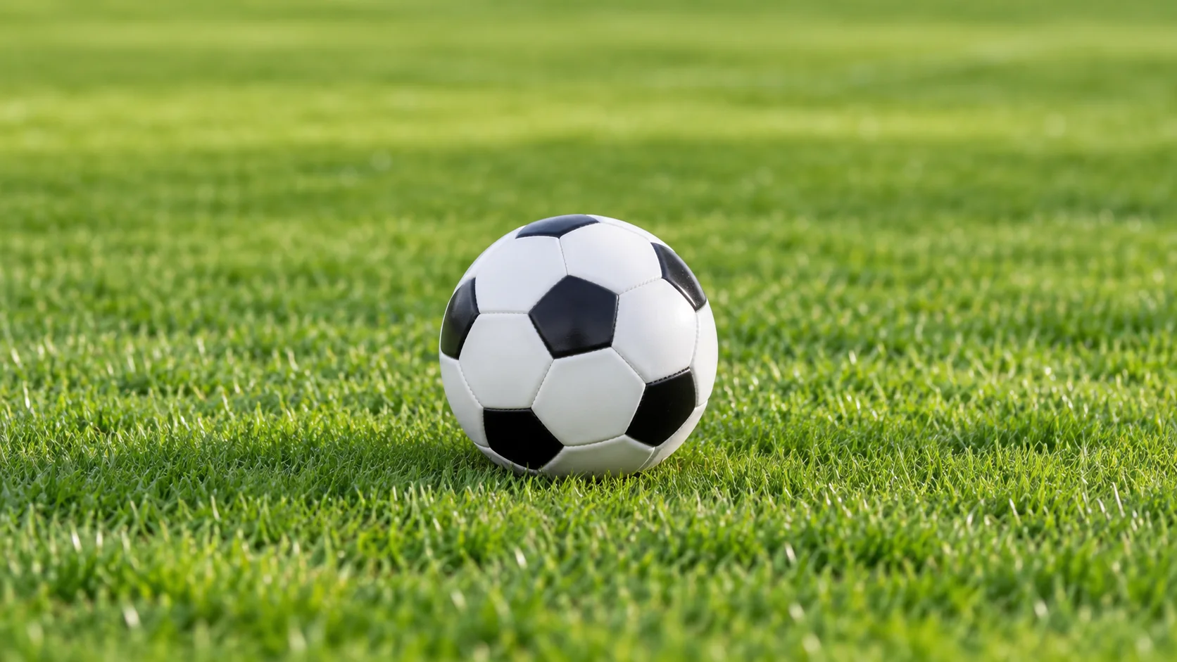 beats365(中国区)-唯一官方网站
